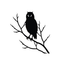 an owl sitting on a branch on a white background, isolated white background 