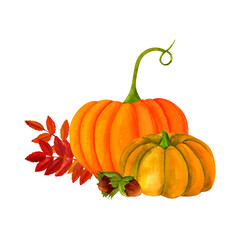 Pumpkin and autumn leaves clip art, watercolor realistic botanical illustration, for prints, invitations, cards for the autumn holidays Thanksgiving, Halloween, harvest festival, farmer's market.