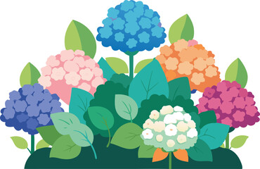 Vibrant hydrangea flowers in various colors bloom amidst lush green leaves.