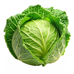 Fototapeta premium cabbage isolated on white