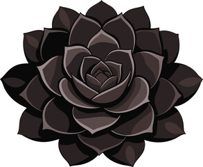 Obraz premium A detailed vector representation of a black succulent with distinct layered petals.