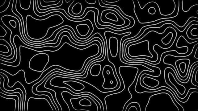 black and white abstract pattern animation with smooth motion and dynamic design perfect for modern backgrounds and creative graphic projects