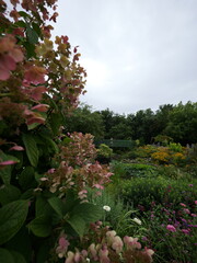 OP Arboretum on a Cool Cloudy Summer Day