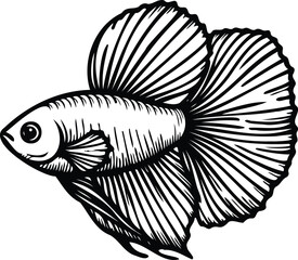 Fototapeta premium fish outline design