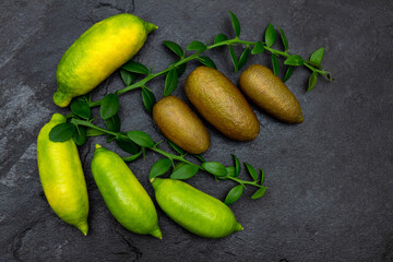 Ripe yellow-green and burgundy oblong citrus fruits on the black slate slab, close-up. Australian finger lime plant indoor growing. Microcitrus australasica, Faustrimedin