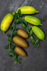 Ripe yellow-green and burgundy oblong citrus fruits on the black slate slab, close-up. Australian finger lime plant indoor growing. Microcitrus australasica, Faustrimedin