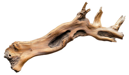 Obraz premium Driftwood piece showcasing natural texture and contours, ideal for home decor or crafting projects, cut out - stock png.