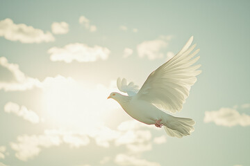 Obraz premium A white dove gracefully soars through the sky, delivering a message of peace and hope, illuminated by the golden glow of the setting sun.