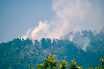 Fire in the forest area of Guatemala, promotion of climate change and deforestation, destruction of the environment.