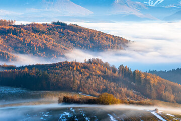 Winter partly snowy landscape with forests, meadows and valleys in which there is fog.