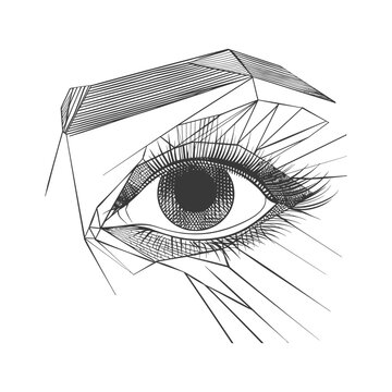 recommend clip art: Geometric Line Art Illustration of a Human Eye