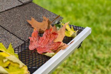 Closeup of house rain gutter with leaf guard screen and leaves. Home maintenance, yardwork and roof...