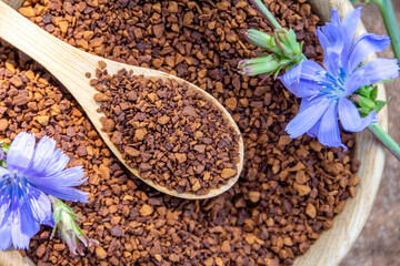 Ground chicory root on a wooden spoon and chicory flowers on a rustic wooden background. Alternative medicine. Healthy drinks. chicory drink