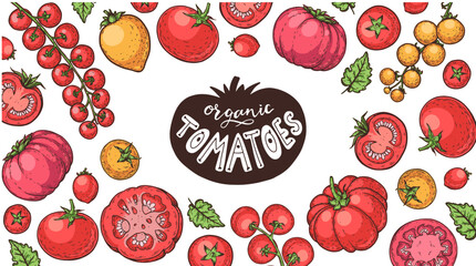 Tomatoes frame. Hand drawn illustration. Tomato vegetable. Organic tomato design template. Vector illustration. Package design elements.