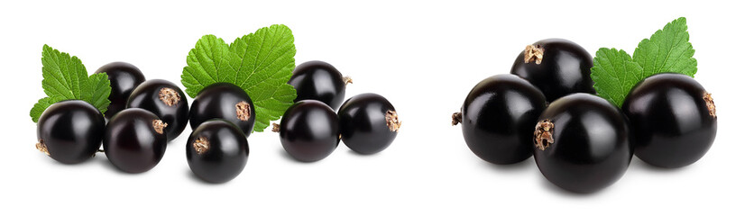 black currant with leaf isolated on white background