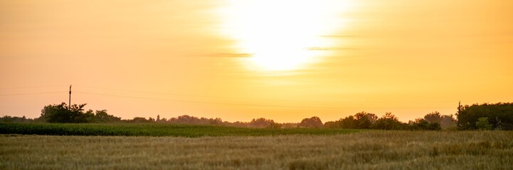 Fototapeta premium Golden sunrise over a tranquil rural field, capturing the essence of peace and beginning, perfect for New Year's Day