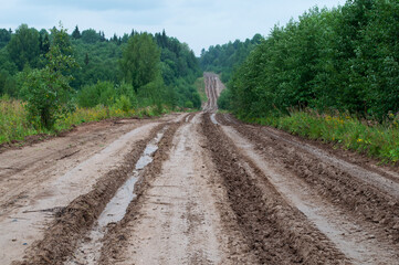 Wet dirt road through the forest after rain, Russia