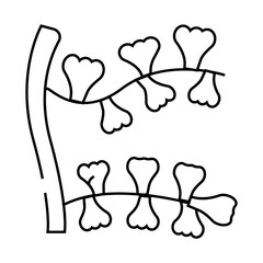 sargassum horneri seaweed line icon vector. sargassum horneri seaweed sign. isolated contour symbol black illustration