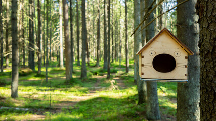 A whimsical cat-shaped birdhouse hanging from a tree in a lush, sunlit forest, perfect for nature and wildlife conservation themes