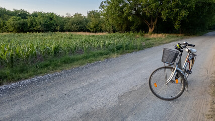 Fototapeta premium A bicycle rests on a rural road beside a lush cornfield, representing eco-friendly travel and countryside exploration