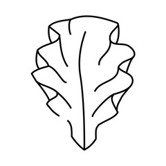 ulva lettuce seaweed line icon vector. ulva lettuce seaweed sign. isolated contour symbol black illustration