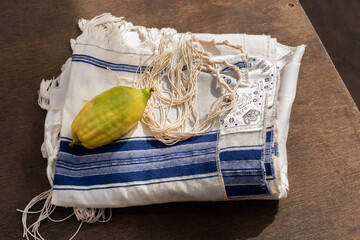 Etrog or citron fruit resting on a blue and white Jewish tallit prayer shawl with tzitzit.