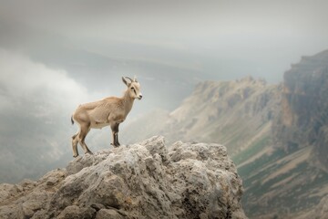 Seiser Alm - Dolomiten - Alpen. Beautiful simple AI generated image in 4K, unique.