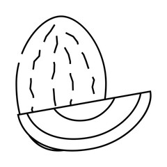 Fototapeta premium melon fruit line icon vector. melon fruit sign. isolated contour symbol black illustration