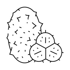 horned melon fruit line icon vector. horned melon fruit sign. isolated contour symbol black illustration