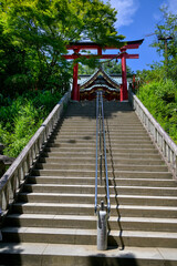 Steps leading to the Takao Yakuoin Temple, Mt. Takao, Tokyo