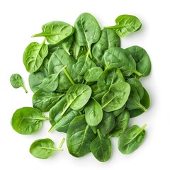 Fototapeta premium Raw nature fresh spinach leaves agriculture vitamin vegetable on white background 