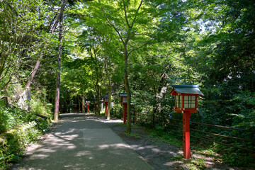 Red Lanterns of Mount Takao of Japan