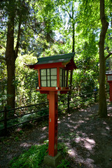 Red Lanterns of Mount Takao of Japan