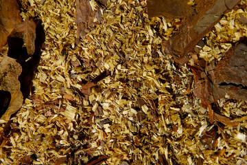 Wood Shavings and Sawdust Scattered on the Ground in a Workshop Area During Daylight Hours