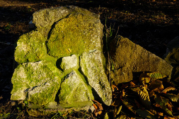 Ancient Stone Wall Composed of Textured Boulders, Showcasing Natural Moss Growth in a Forest Setting