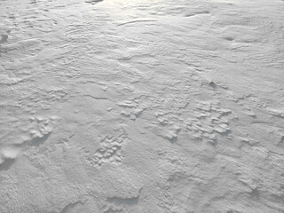 Textured Snow Covering the Ground in a Serene Winter Landscape Under Soft Sunlight