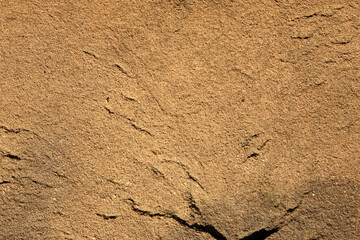 Textured Sand Surface Resembling Plaster With Intricate Patterns in Warm Tones