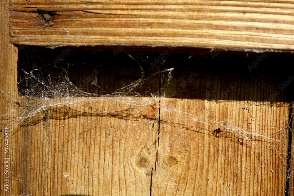 Poster Natural Wooden Board Background With Fiber Structure and Cobweb Details Highlighting Textures and Patterns