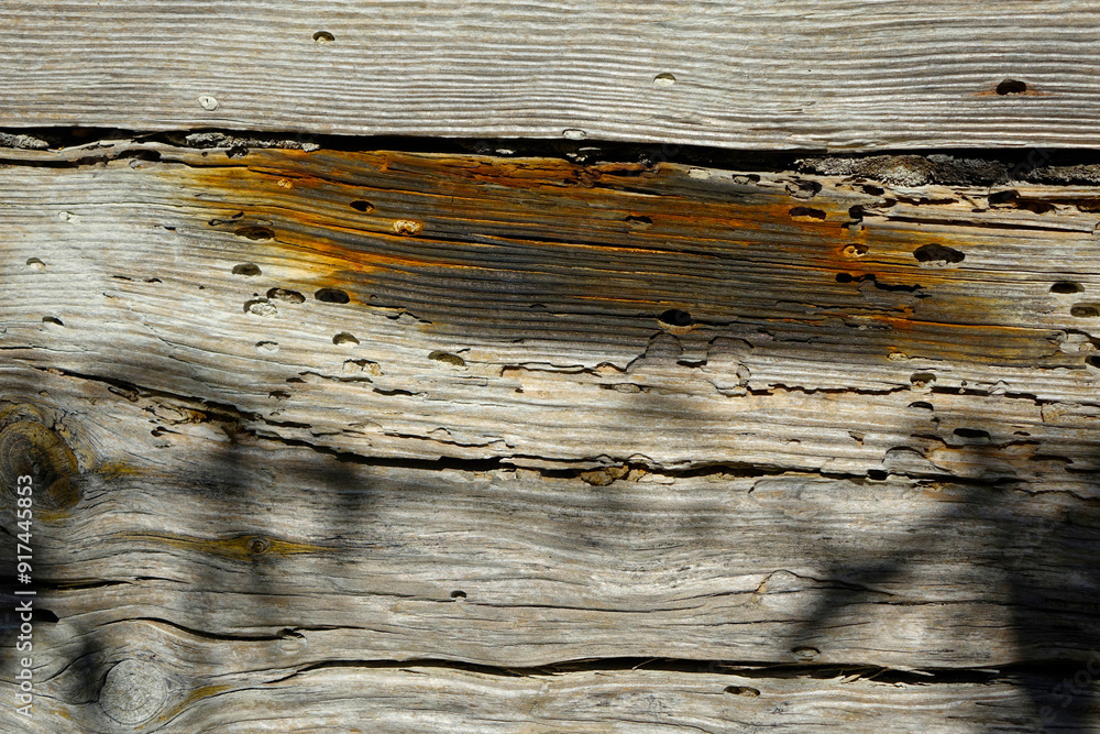 Poster close-up view of weathered wooden board showcasing natural fiber texture and unique patterns in sunl