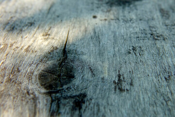 Texture of Weathered Wooden Board Highlighting Natural Fiber Structure in Soft Light