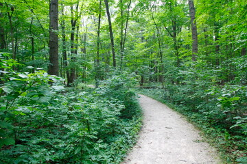 Fototapeta premium Trail, Glacier Ridge Metro Park, Dublin, Ohio