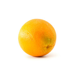 fruit orange citrus white background