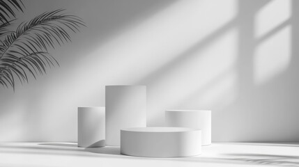 Minimalist White Cylindrical Platforms with Palm Leaf Shadow