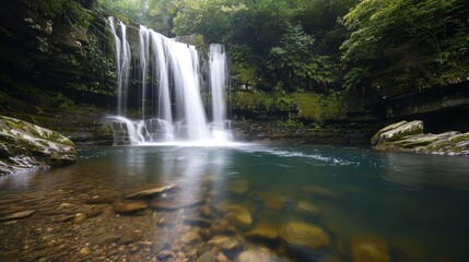 Fototapeta premium Tranquil forest waterfall scene with copy space, covering all objects, deep depth of field.