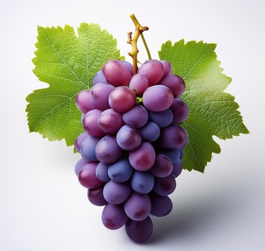 Frutas uvas moradas sobre el fondo aislado blanco 
