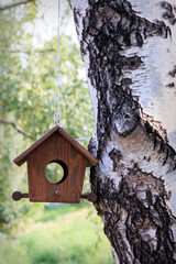bird house on tree