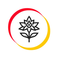 Lotus petals bloom quietly
 