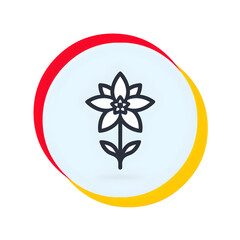 Lotus petals bloom quietly
 