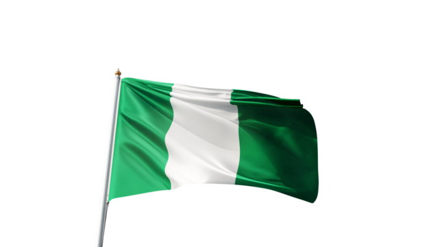 Flag of Nigeria on a transparent background, png, flag on a flag pole waving in the wind, african country, national symbol of Nigeria, picture of a flag