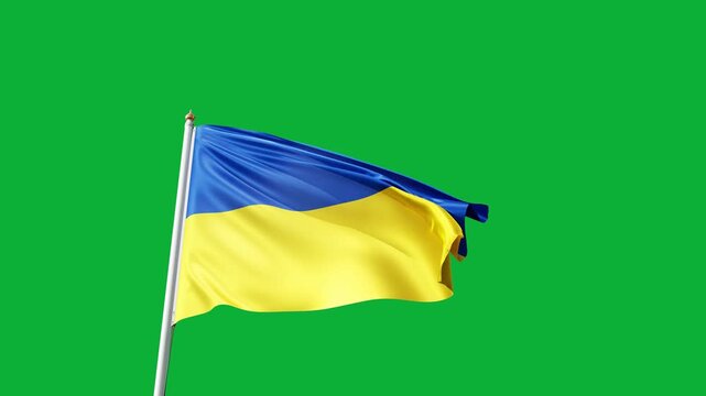 Flag of Ukraine on a green screen, no background flag on a flag pole waving in the wind, est european country, national symbol of Ukraine, video of a flag